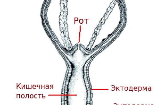 Кракен маркетплейс это