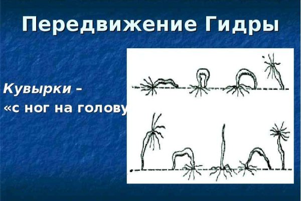 Kraken даркнет рынок